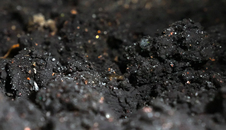 LI-CYCLE: HOW ELECTRIC VEHICLES ARE SPARKING A BATTERY RECYCLING REVOLUTION